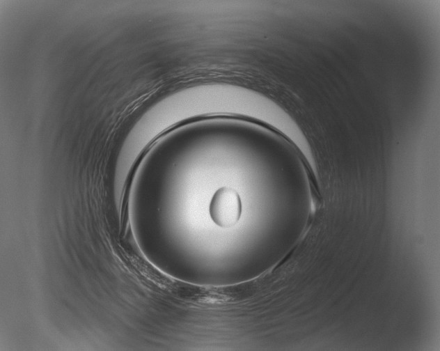 X0000086000364200703231151