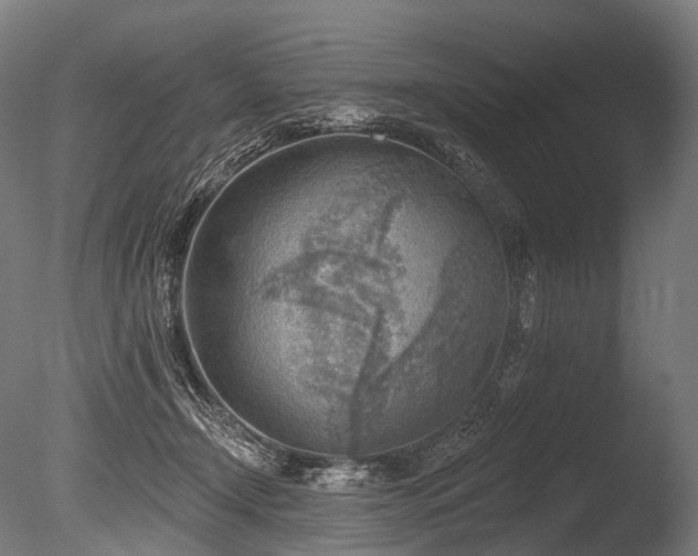 X0000086000366200703231151