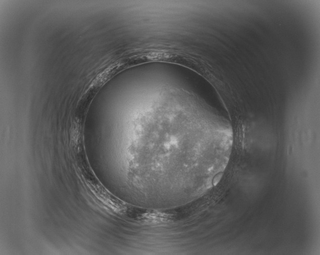 X0000086000367200703231151