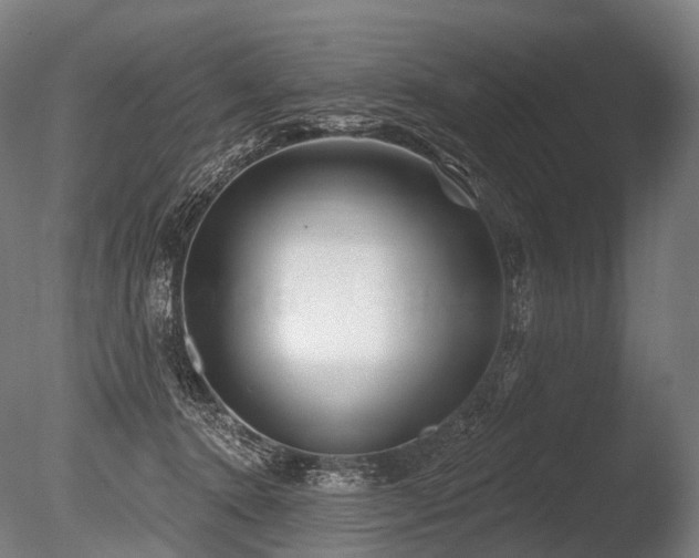 X0000086000368200703231151