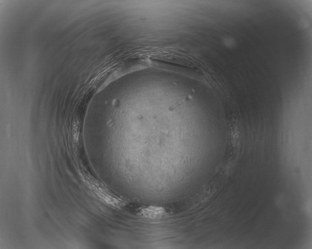 X0000086000374200703231151