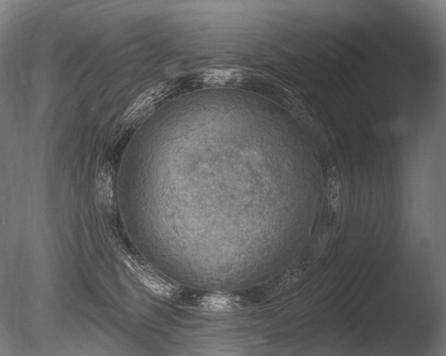 X0000086000375200703231151