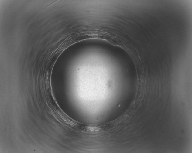 X0000086000376200703231151