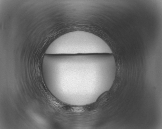 X0000086000377200703231151