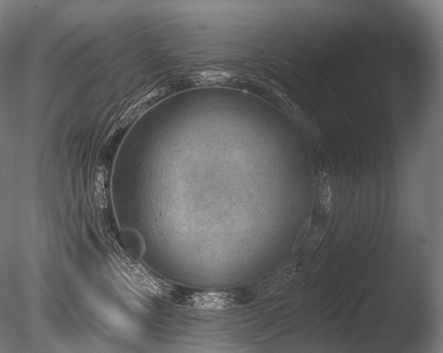 X0000086000378200703231151