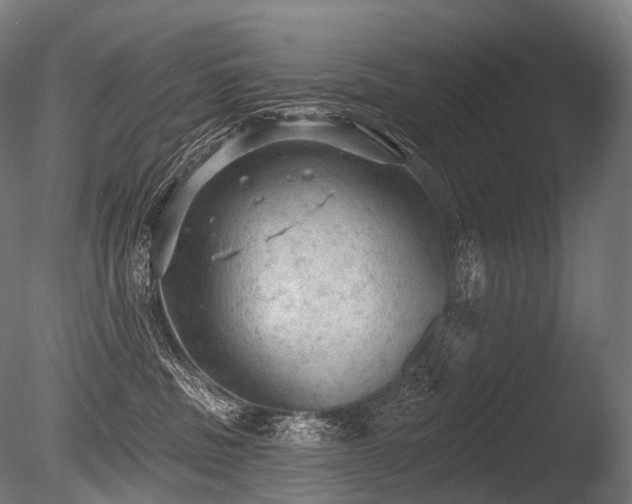 X0000086000379200703231151