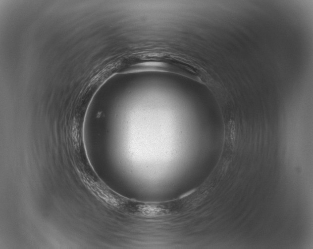 X0000086000380200703231151