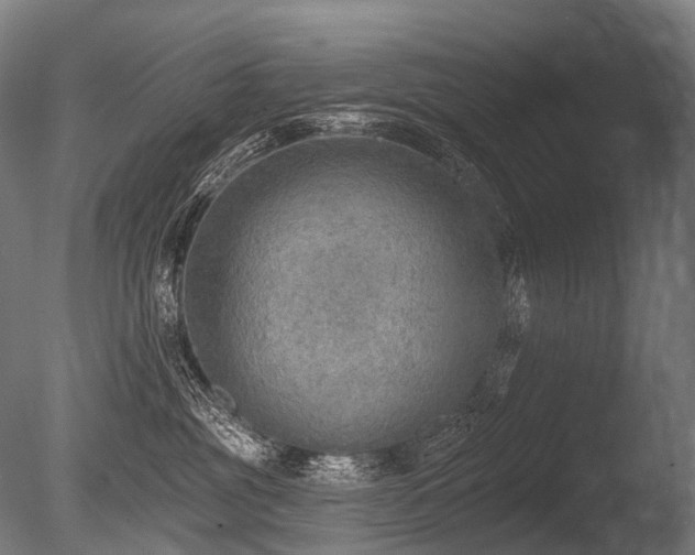 X0000086000381200703231151