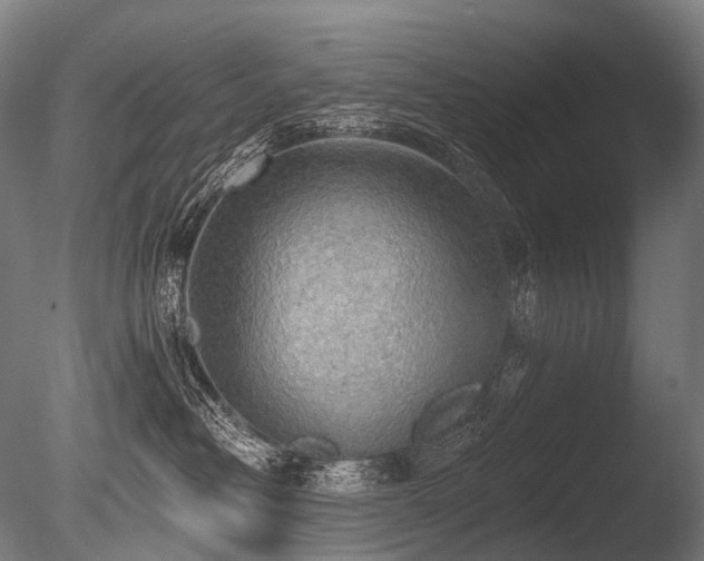 X0000086000382200703231151