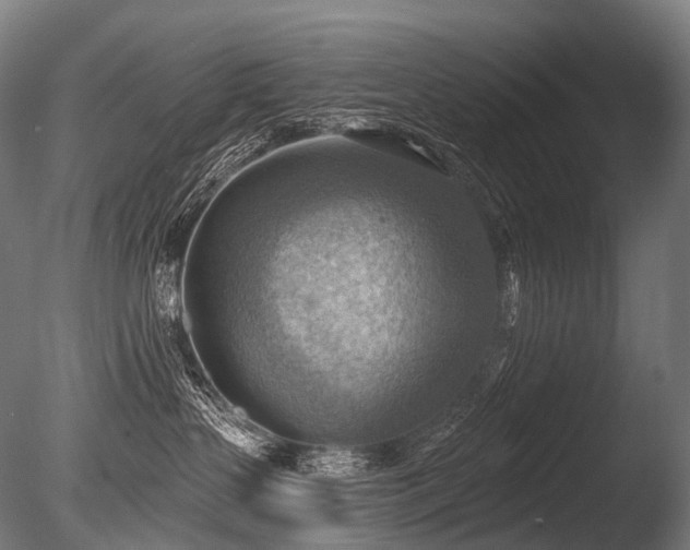 X0000086000383200703231151