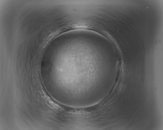 X0000086000385200703231151