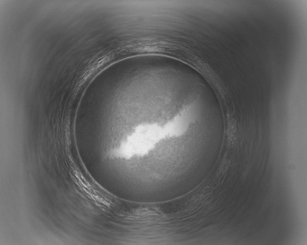 X0000086000386200703231151