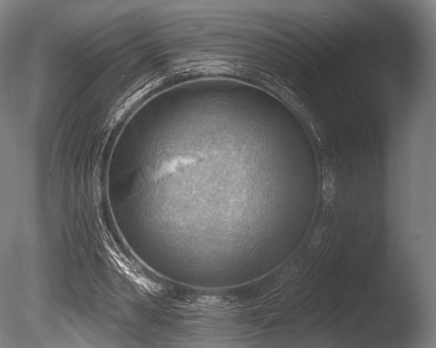 X0000086000390200703231151