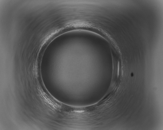 X0000086000391200703231151