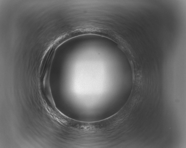 X0000086000395200703231150