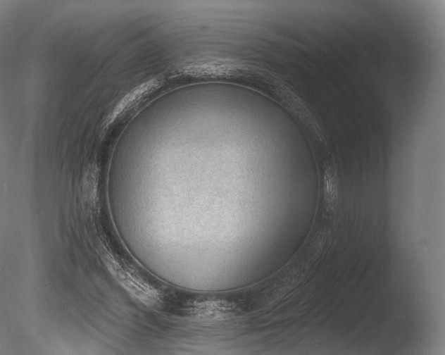 X0000086000396200703231150