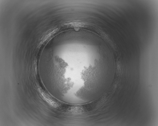 X0000086000398200703231150