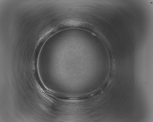 X0000086000399200703231150