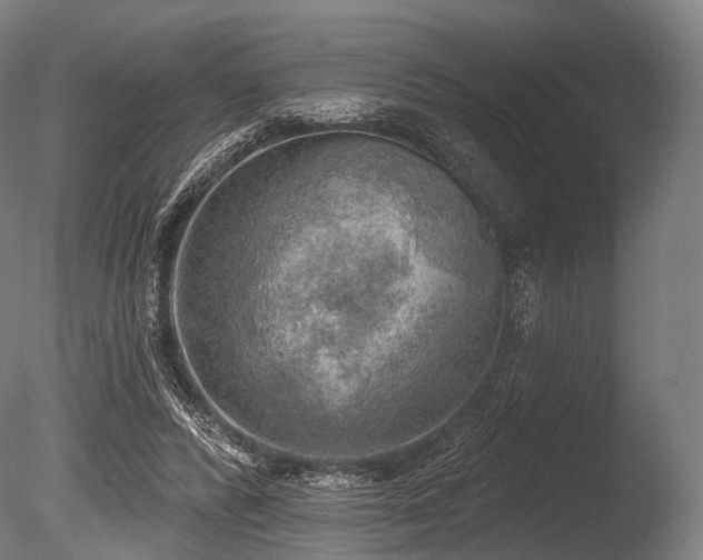 X0000086000400200703231150