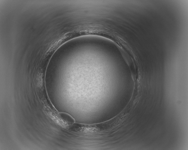 X0000086000401200703231150