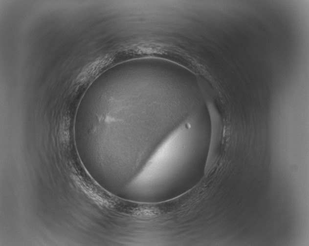 X0000086000402200703231150