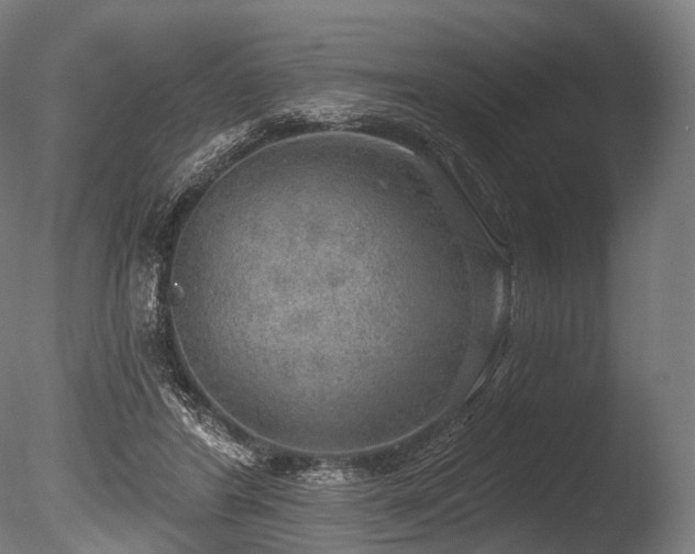 X0000086000404200703231150