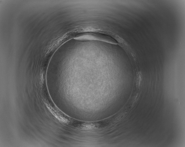 X0000086000405200703231150