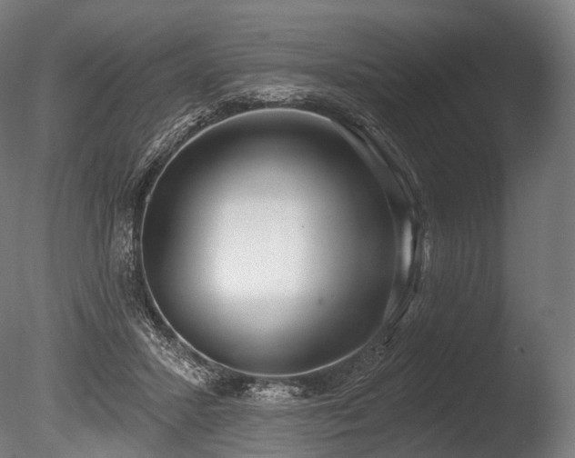 X0000086000407200703231150