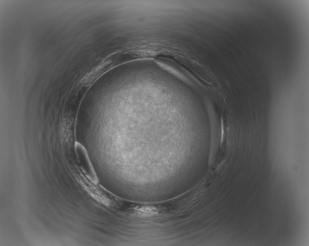 X0000086000409200703231150