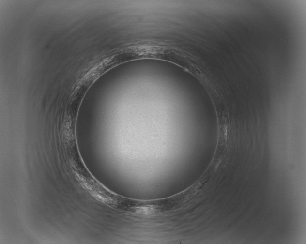 X0000086000411200703231150