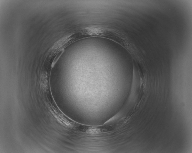 X0000086000413200703231150