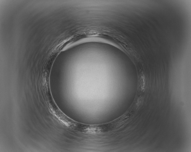 X0000086000415200703231150