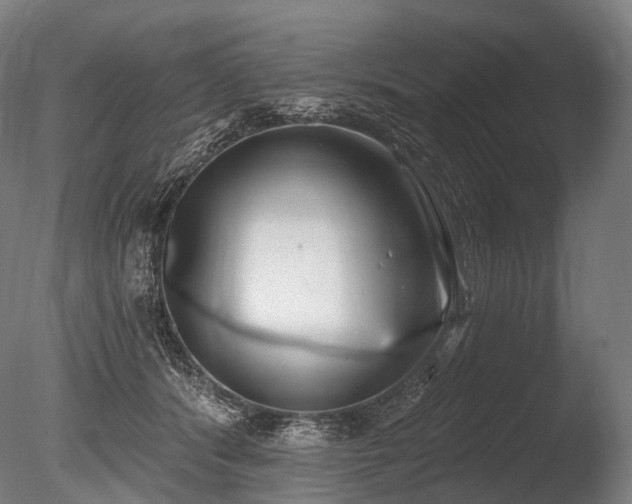 X0000086000416200703231150