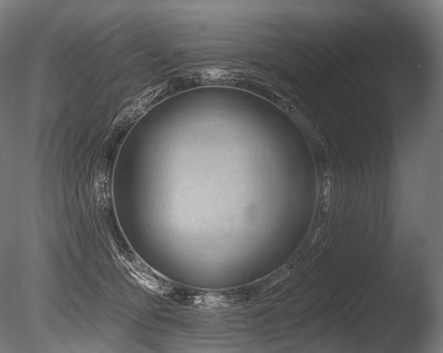 X0000086000419200703231150