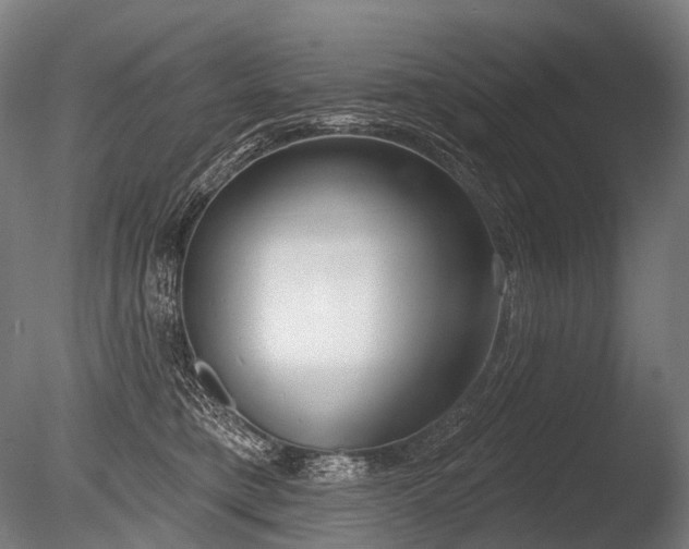 X0000086000421200703231150