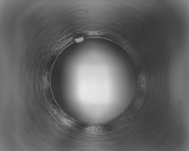 X0000086000422200703231150