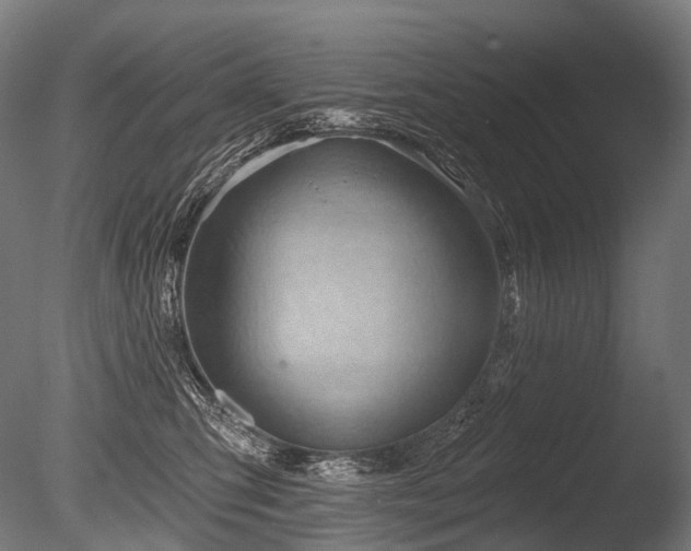 X0000086000423200703231150