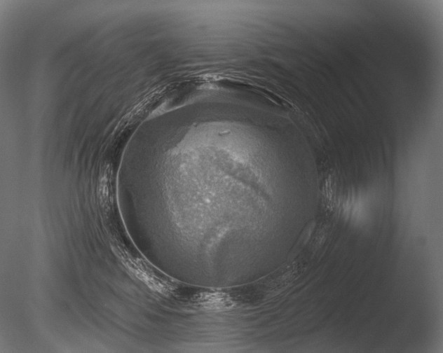 X0000086000424200703231150