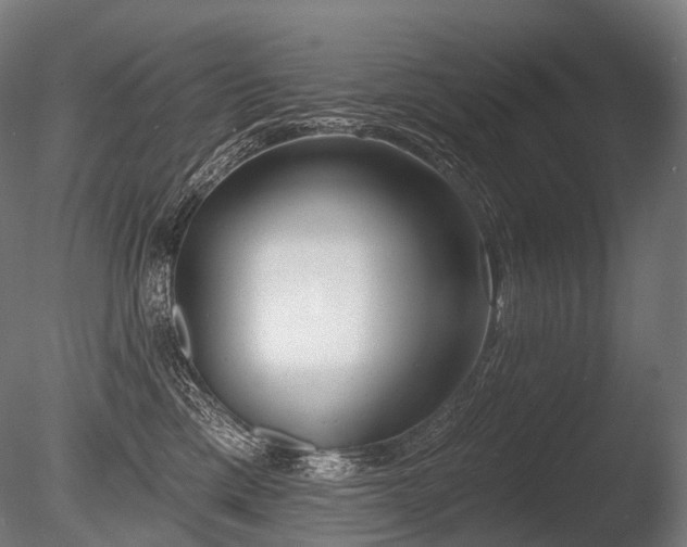 X0000086000425200703231150