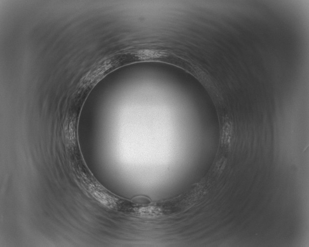 X0000086000426200703231150