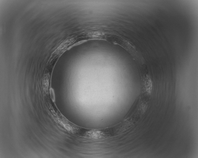 X0000086000427200703231150