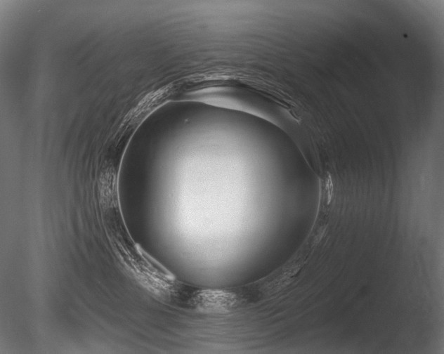 X0000086000429200703231150