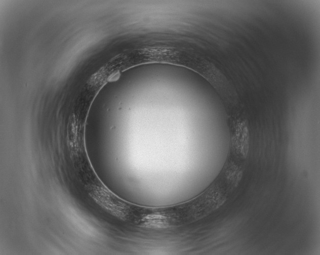 X0000086000430200703231150