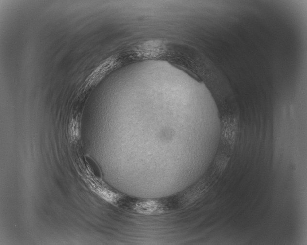 X0000086000431200703231150