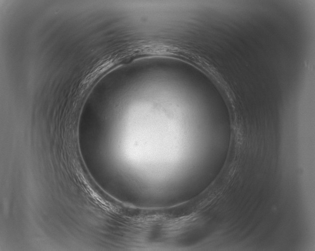 X0000086000433200703231149