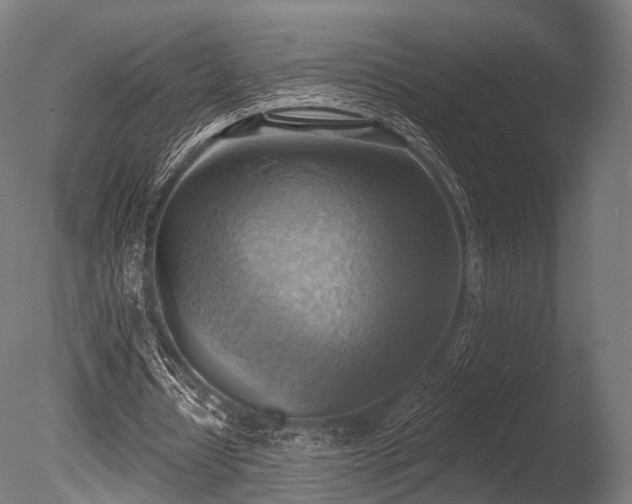 X0000086000434200703231149