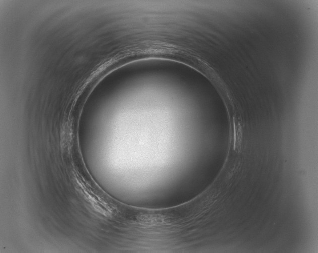 X0000086000435200703231149