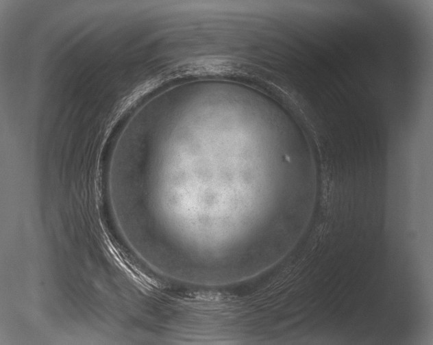 X0000086000439200703231149