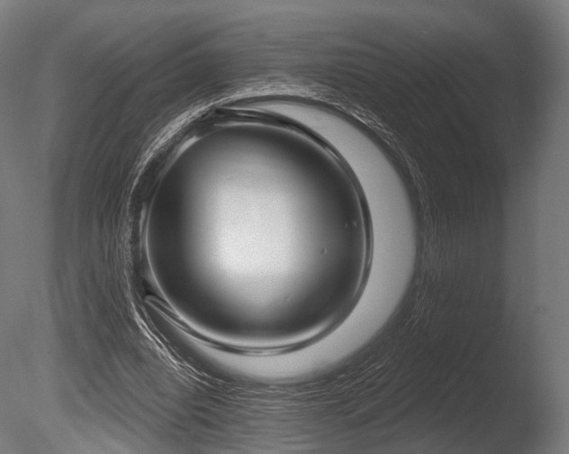 X0000086000440200703231149