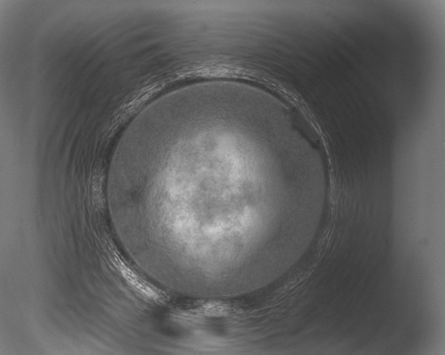 X0000086000441200703231149